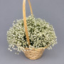 9 белых гипсофил в корзине — вид 2